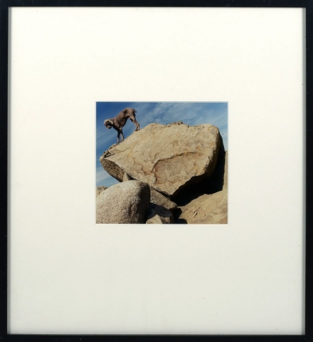 William Wegman, Dog on Rock”, cibachrome print, framed - 18 1/2 x 16 inches, size- 6 3/4 x 6 3/4 inches