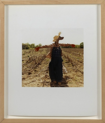 William Wegman, “Scarecrow”, cibachrome print,14 x 11 inches